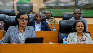 Read more about the article Biro y’Ishyaka PL yagaragarije Abasenateri ko inzego zaryo zikora neza kugera ku mudugudu